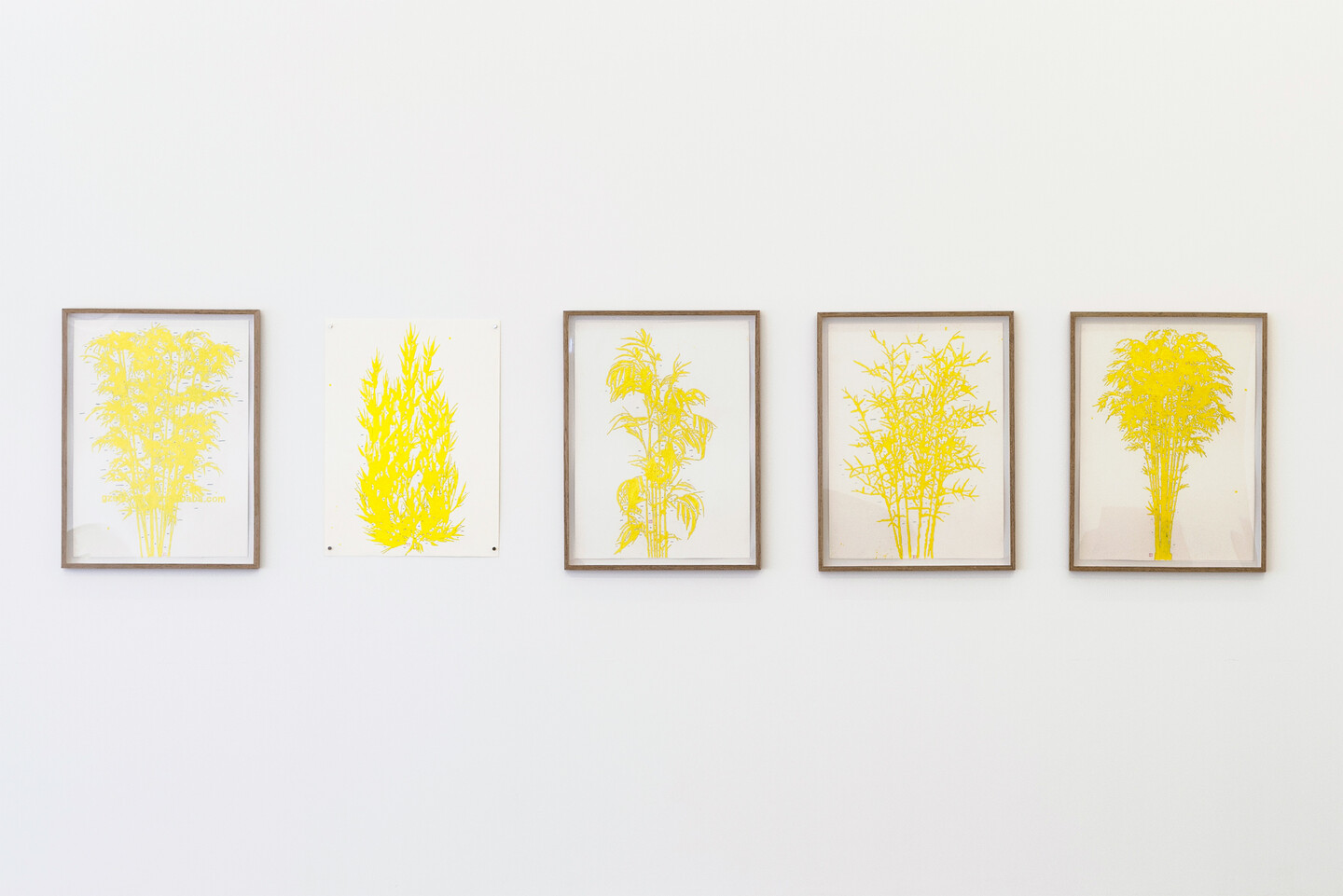Ania Soliman, Bamboo series, 2020, Encaustic, pigment and pencil on paper, 83.5 x 63 x 3 cm each