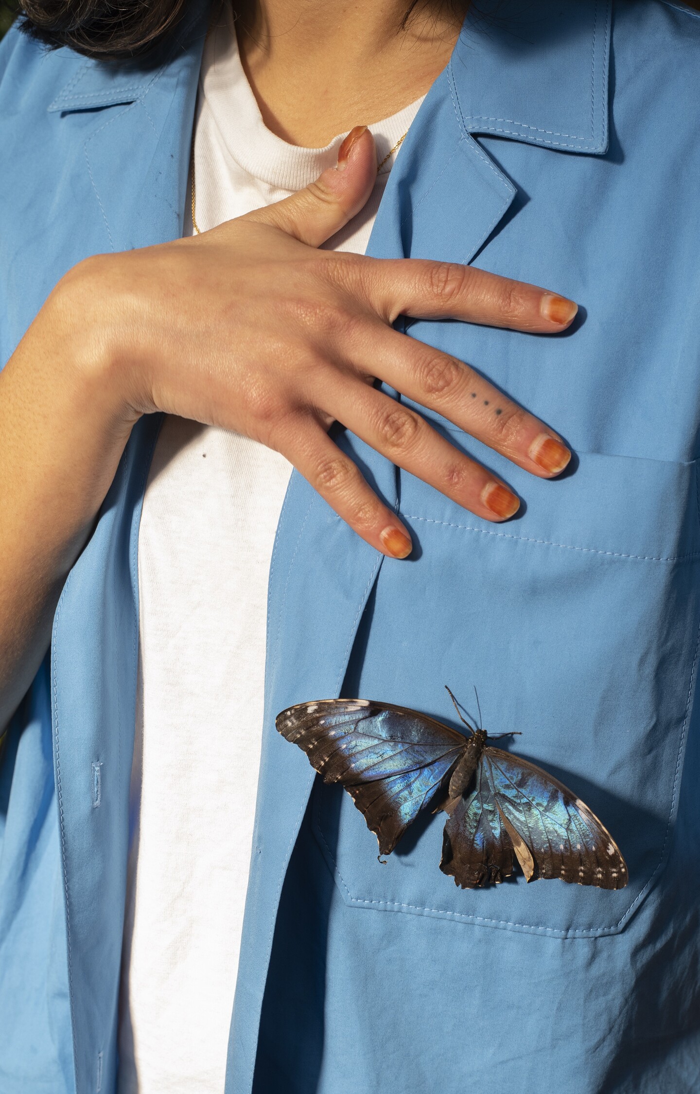 Butterfly, 2022, Archival inkjet print, 27,94 × 43,18 cm