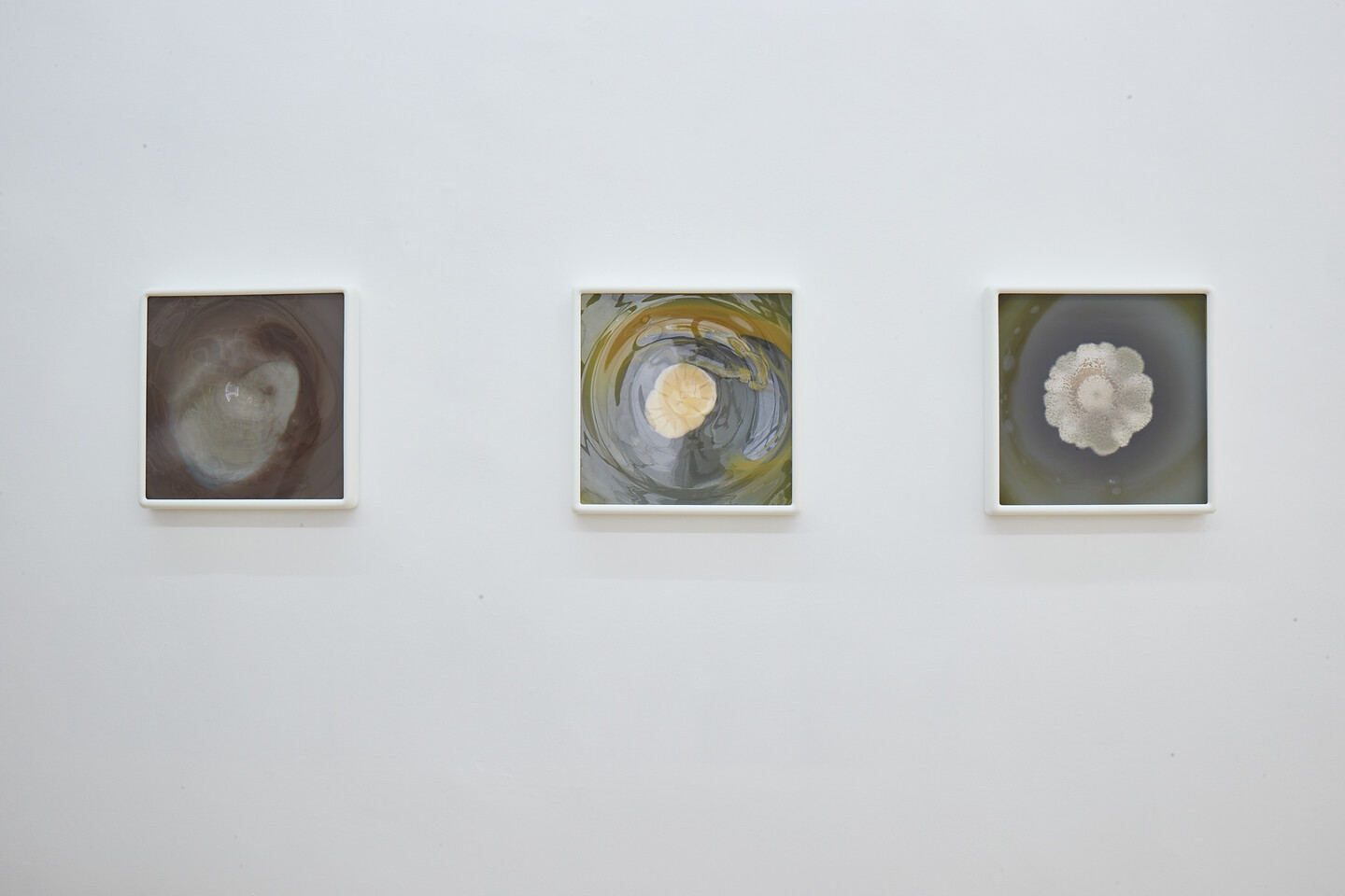 Mac Adams & Dove Allouche: Das unsichtbare Bild, Exhibition view Sfeir-Semler Gallery Hamburg 2021