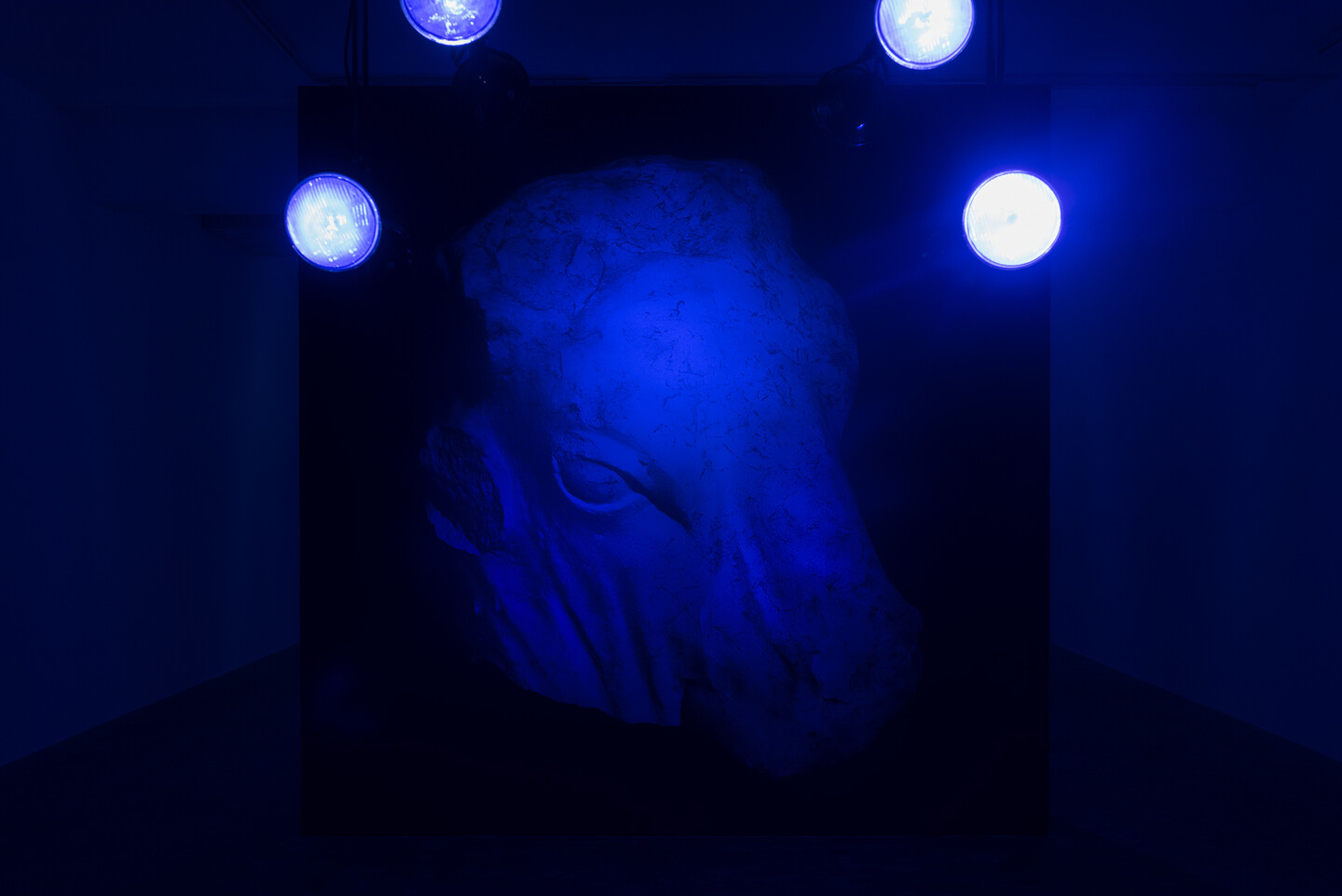 Rayyane Tabet, The Return, 1979-1981, 2023, 350 x 350 cm