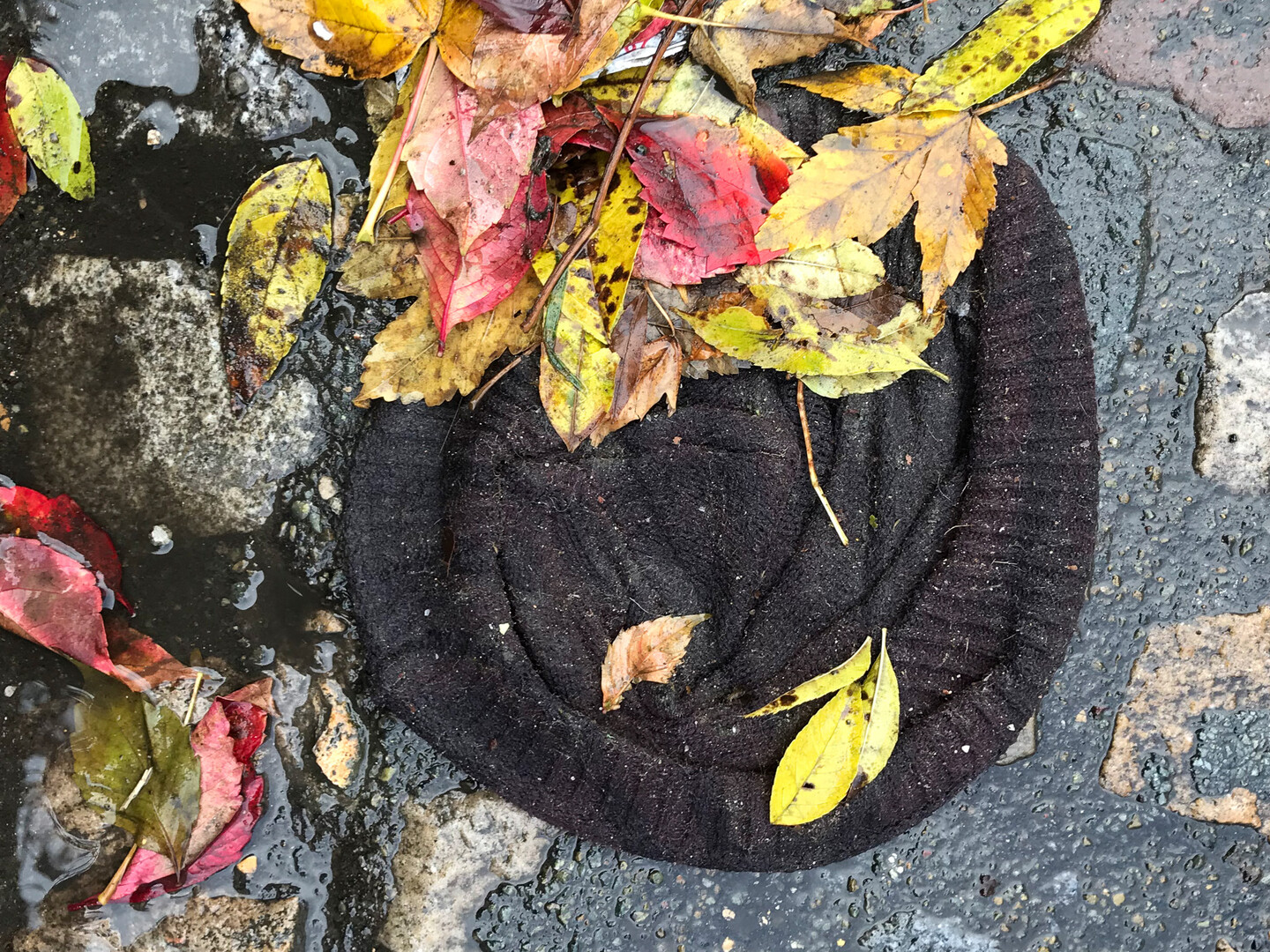 Untitled, 30 x 40 cm