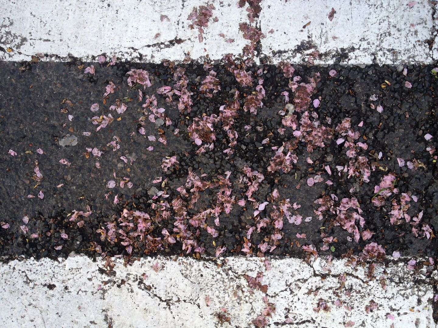 Untitled, 30 x 40 cm