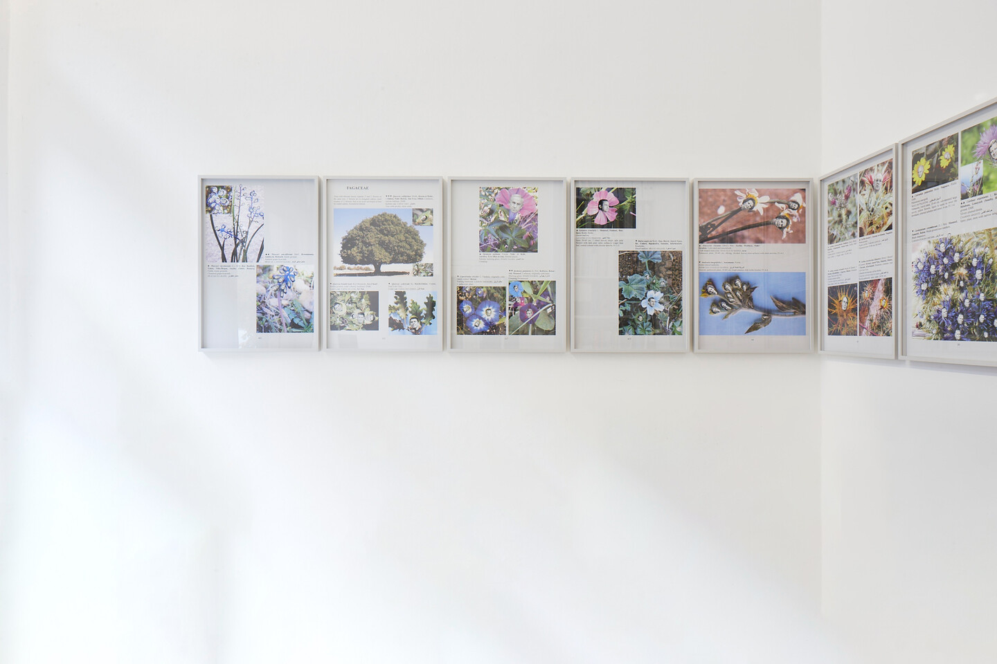 Walid Raad, Sweet Talks, Exhibition view Sfeir-Semler Gallery Hamburg 2020