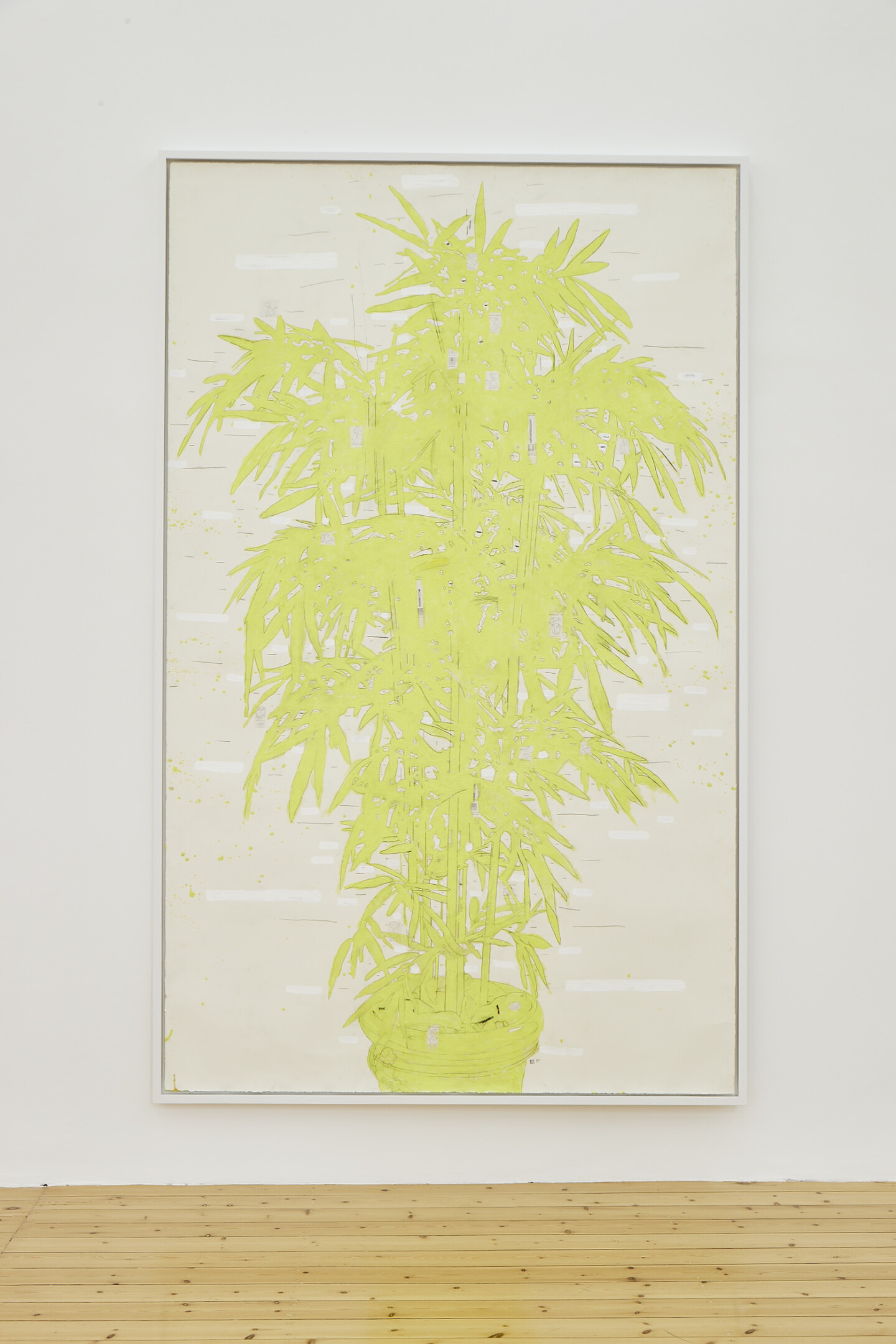 Ania Soliman, bamboo