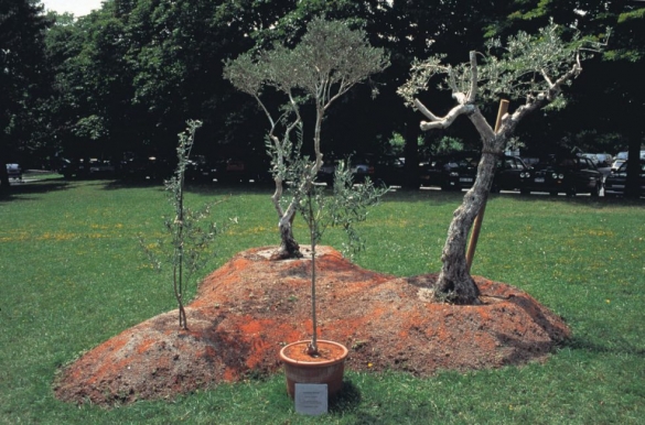 Grafting, 1995, Exhibition view. Ariana Park, Geneva