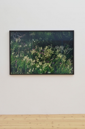 Balthasar Burkhard, Landscape, 2008, C-Print, 97 x 143,5 cm